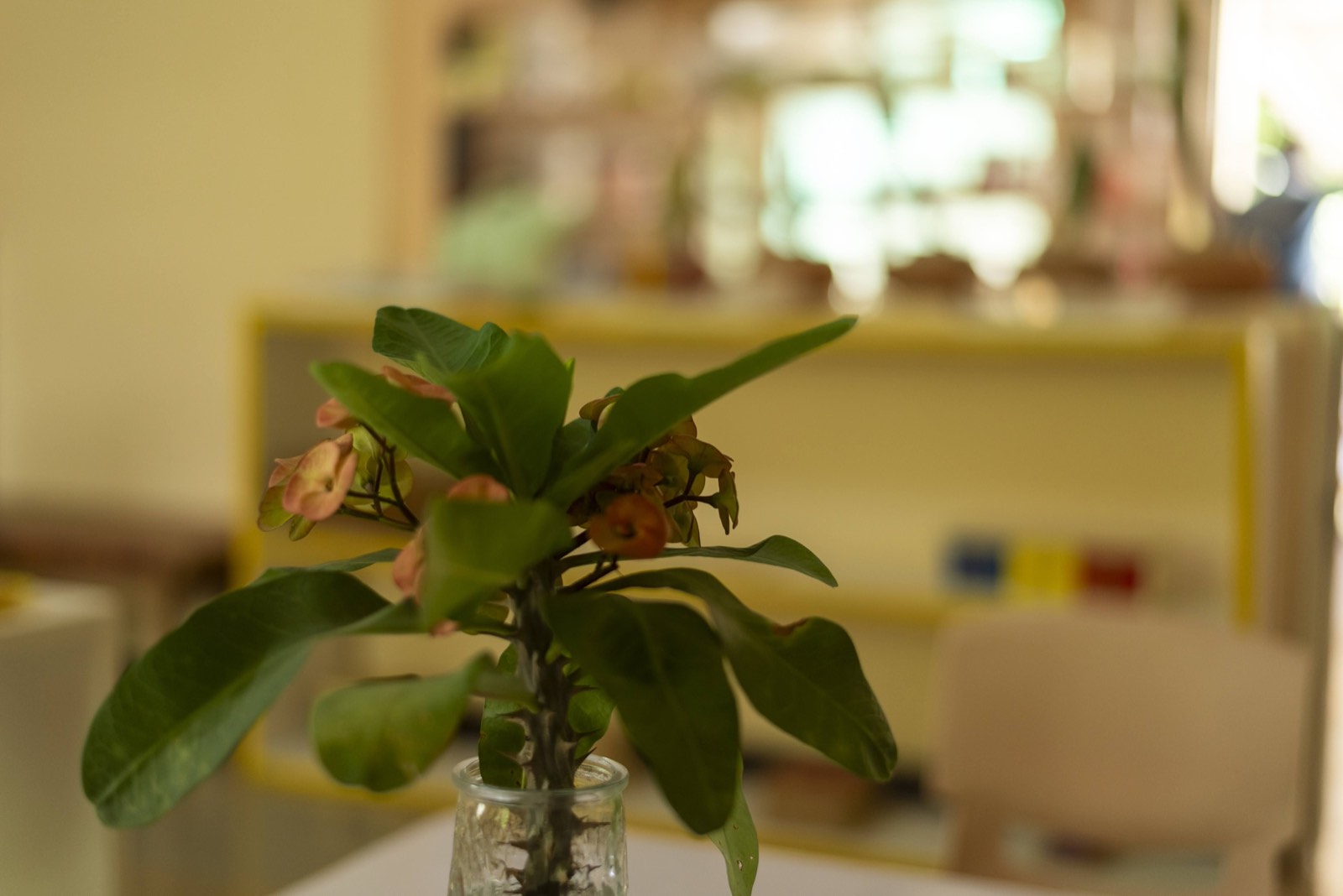 Infant exploring materials at Nobles' Montessori